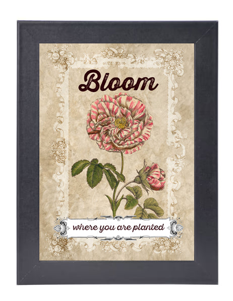 Bloom Where You Are Planted