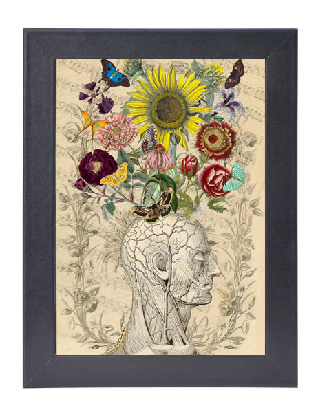 The Lepidopterist